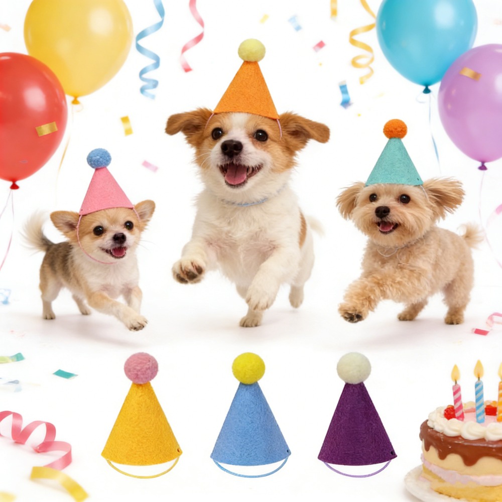 3/6 قطع قبعات حفلات ملونة صغير - مراجعة Party Hat Cone وسعره
