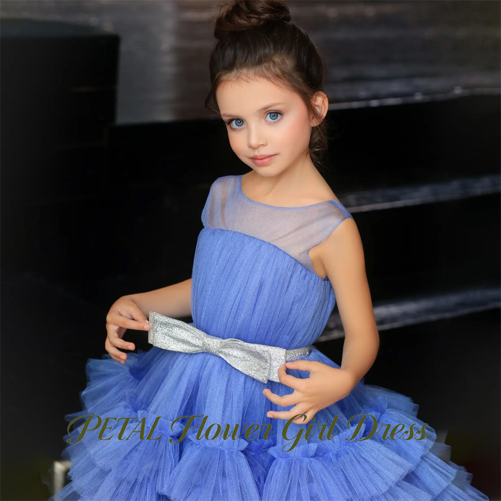فستان أطفال أزرق بدون أكمام لح - مراجعة Birthday Sash Glitter وسعره