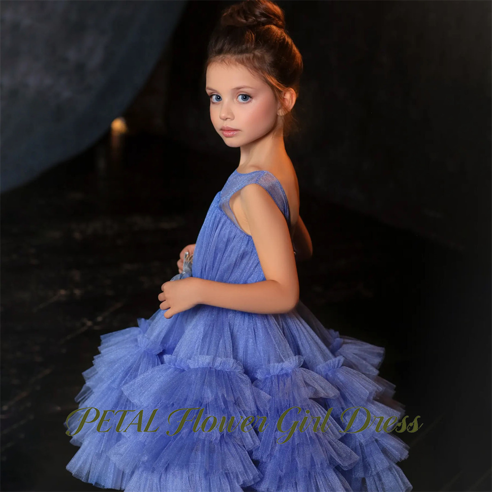 فستان أطفال أزرق بدون أكمام لح - مراجعة Birthday Sash Glitter وسعره